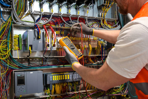 Best Electric Panel Repair  in Robbins, NC